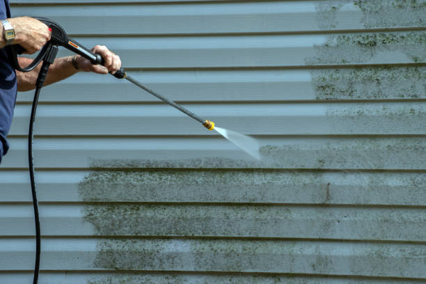 Best Fence Cleaning  in Cannon Falls, MN